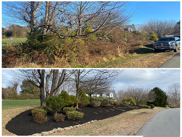 Lawn and landscape improvements