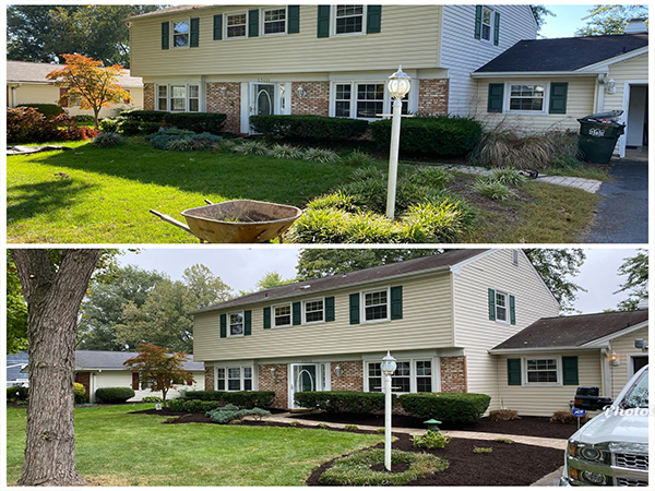 Landscaped front yard with defined planting beds
